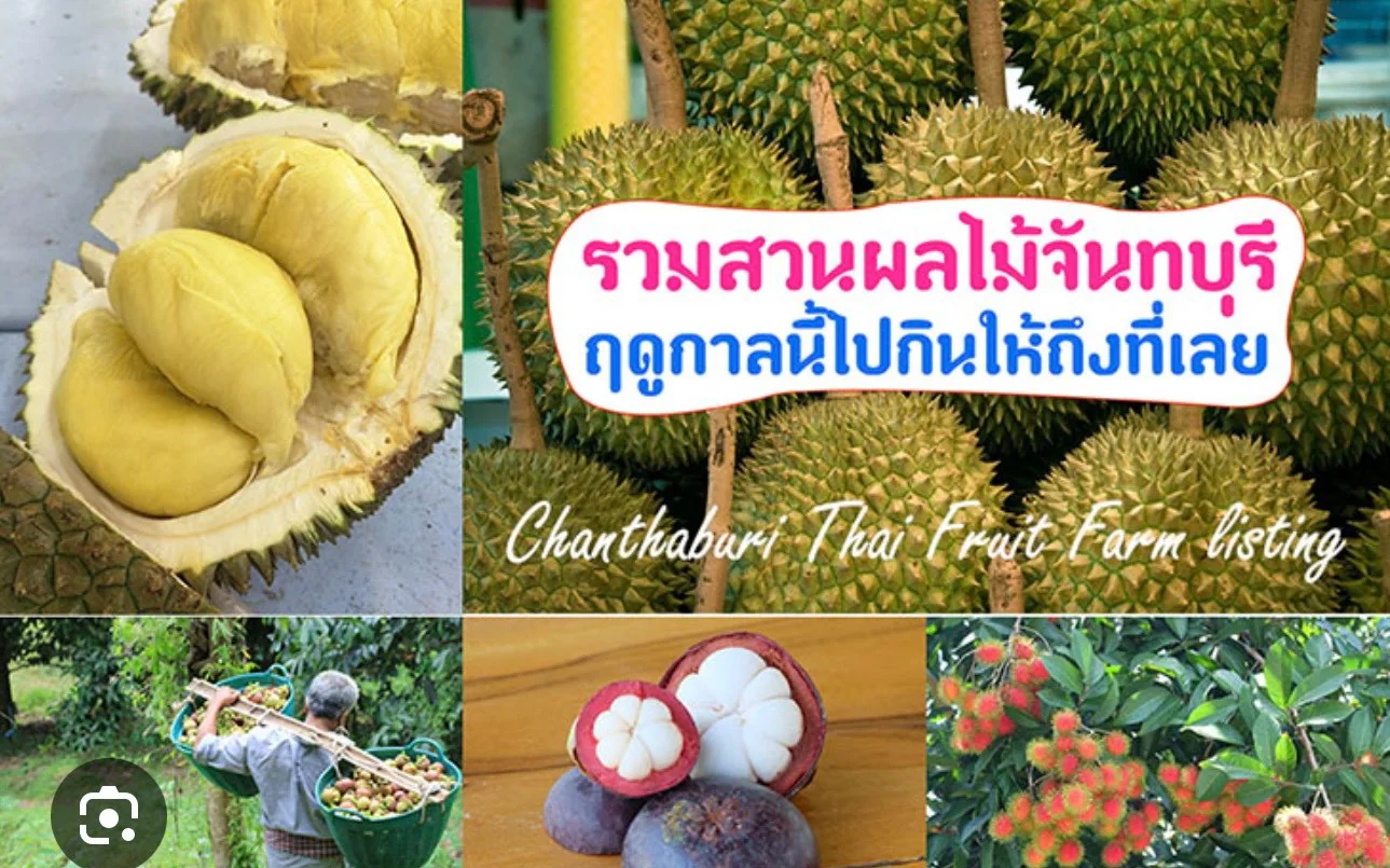 สวนผลไม้จังหวัดจันทบุรี (Chanthaburi Orchards)